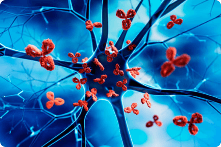 Exploring Autoimmune Disease Therapies